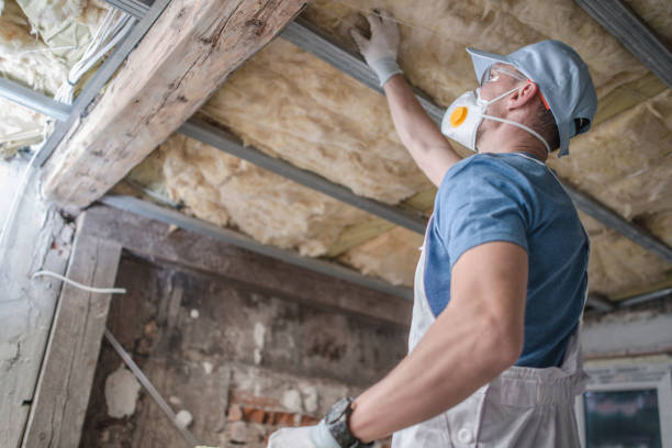 Best Insulation for Specific Applications in Chain Lake, WA